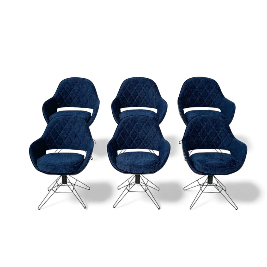 Lavida Wenko – Modell 708 (6er Set)