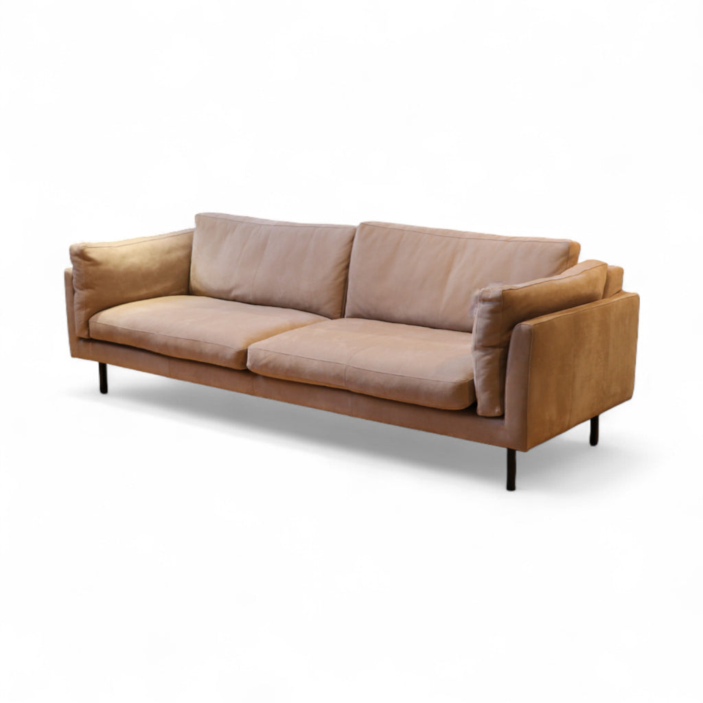 Sofa Tommy M „Ferrara“ – 3,5-Sitzer in Nubuck-Leder Gobi